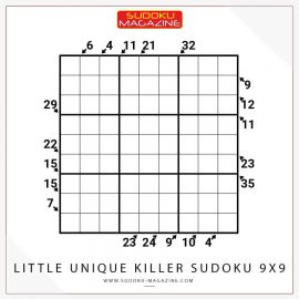 Little Unique Killer Sudoku 9x9