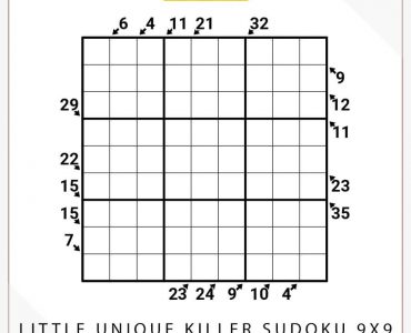 Little Unique Killer Sudoku 9x9