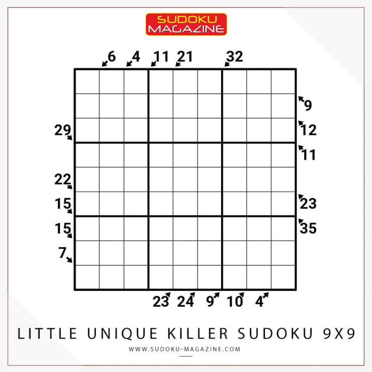Little Unique Killer Sudoku 9x9