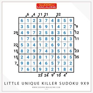 Little Unique Killer Sudoku 9x9 Solution