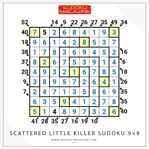 Scattered Little Killer Sudoku 9x9 Solution
