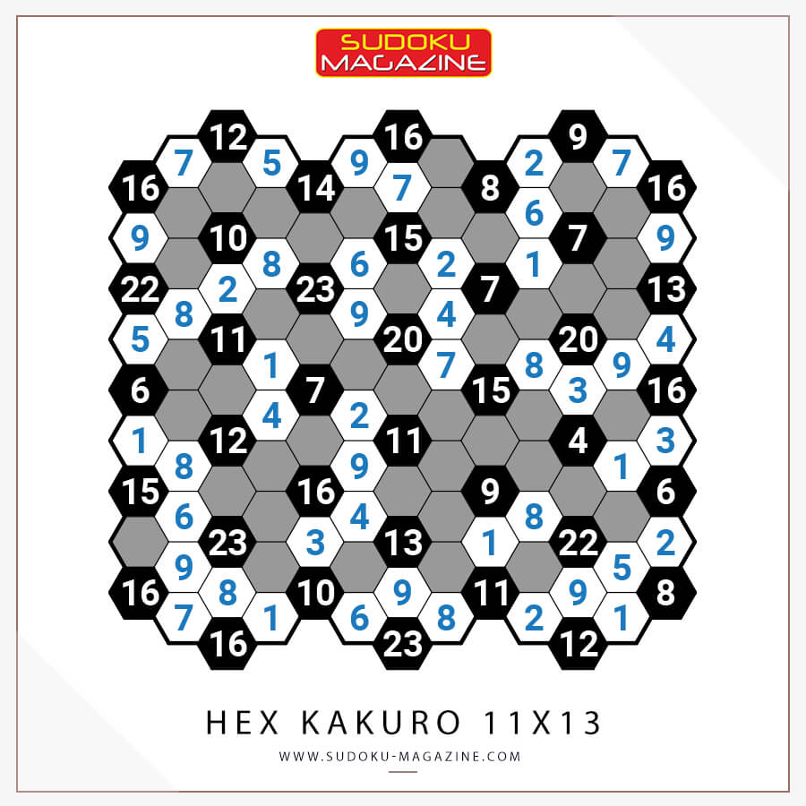 Hex Kakuro 11x13 Solution