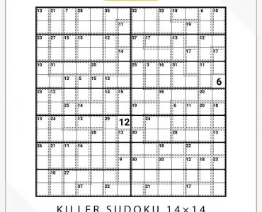 Killer Sudoku 14×14