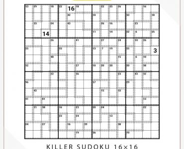 Killer Sudoku 16x16