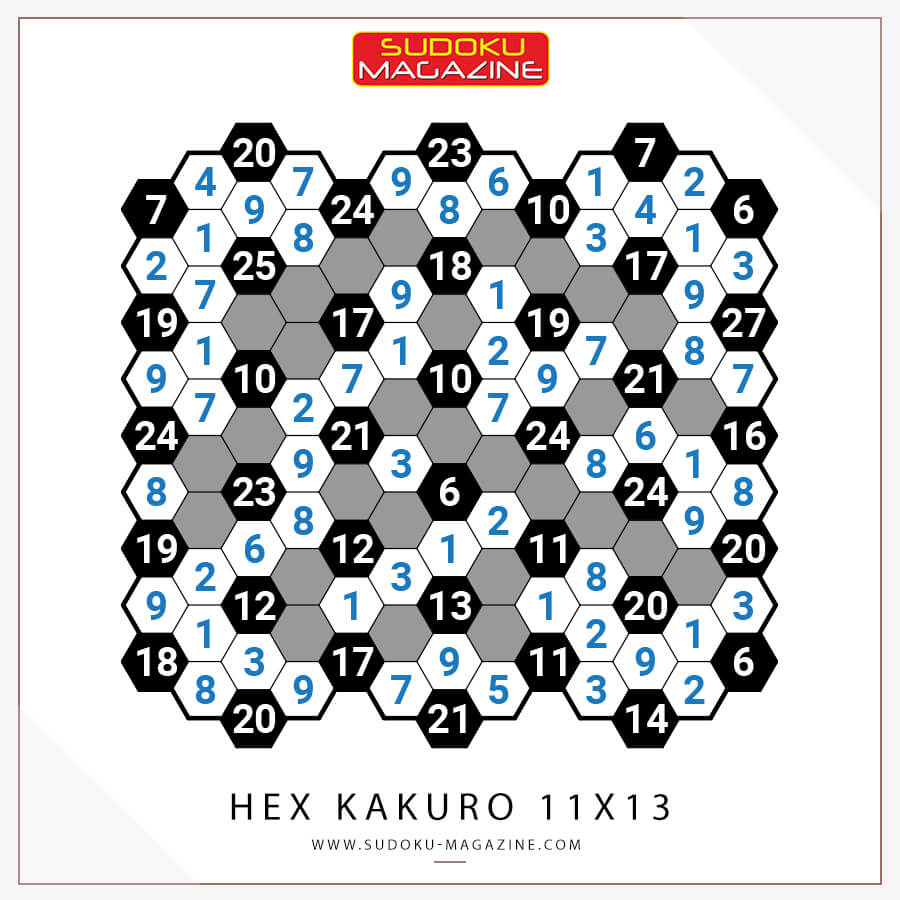 Hex Kakuro 11x13 Solution